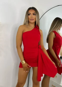 Cover Girl Corsage Mini Dress - Red|DressMeZee Outlet