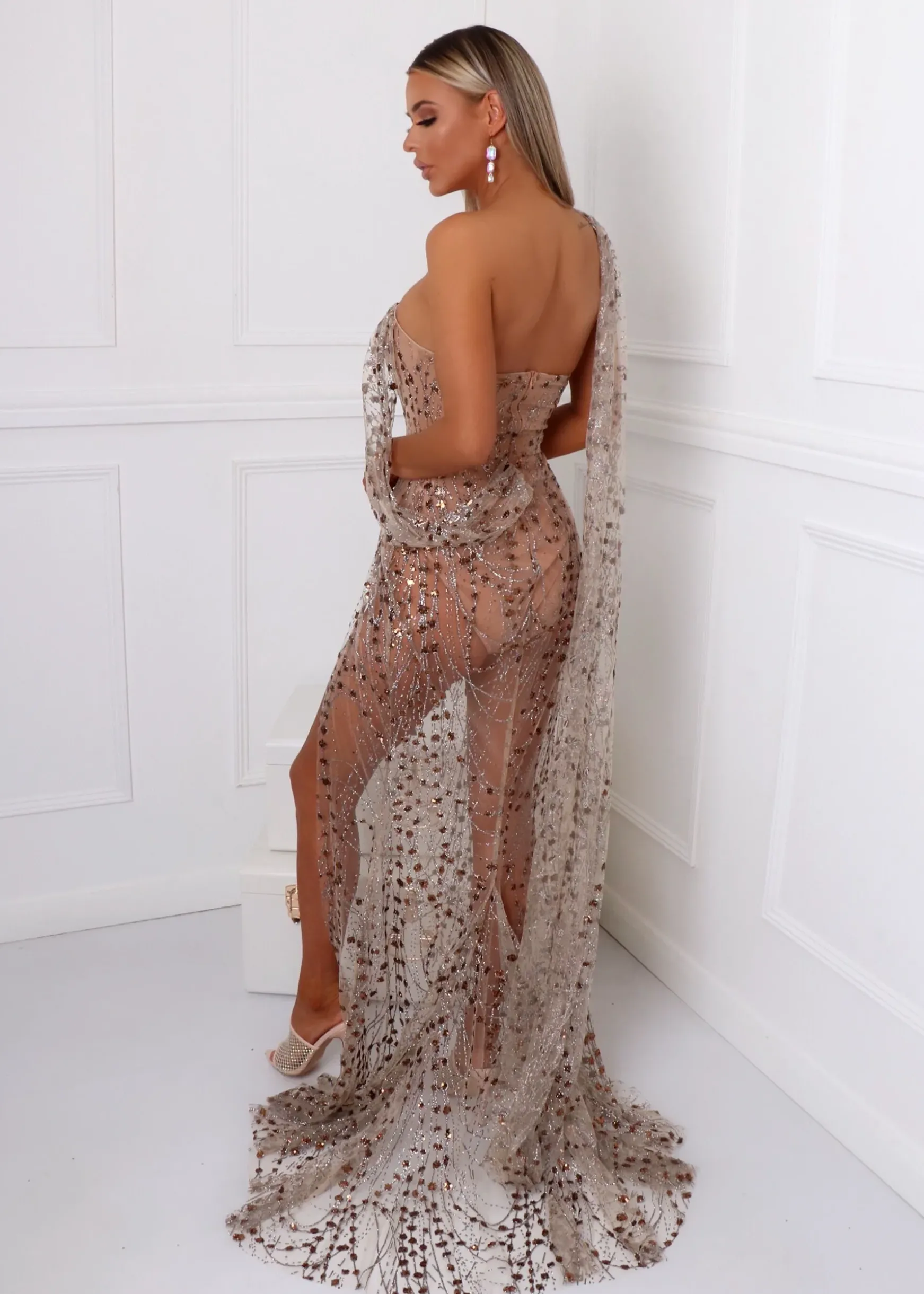 Diamond Nights Glitter Mesh Maxi Dress - Bronze|DressMeZee Fashion